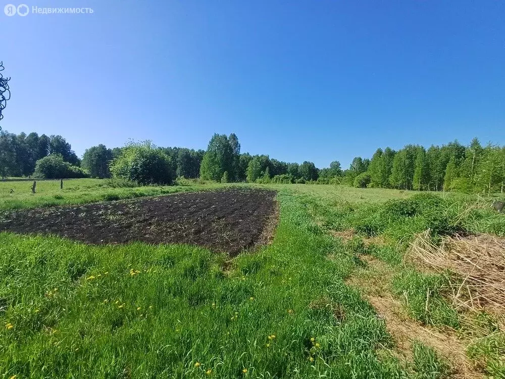 Дом в Красноярский край, Рыбинский муниципальный округ, деревня ... - Фото 1