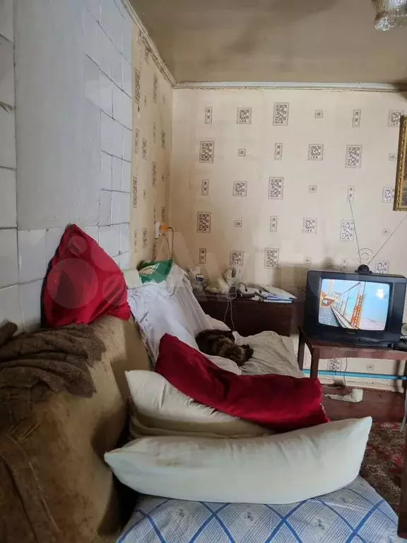Дом 50 м на участке 6 сот. - Фото 1