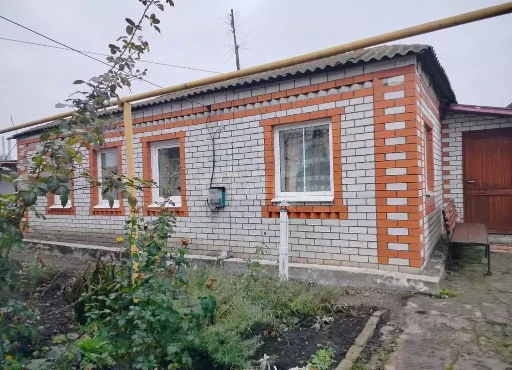 Дом в Белгородская область, Губкин ул. Дружбы, 27 (70 м) - Фото 1