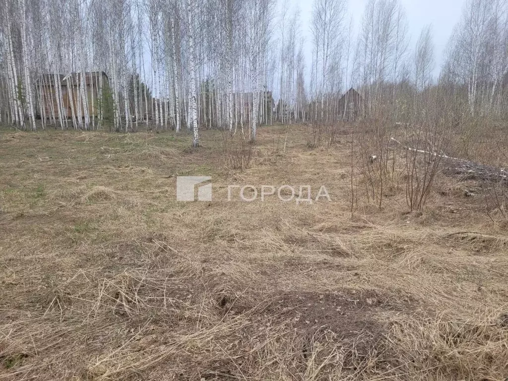 Участок в Новосибирская область, Новосибирский район, Станционный ... - Фото 2