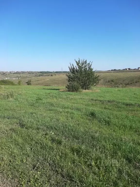 Участок в Белгородская область, Белгородский район, Новосадовское ... - Фото 1