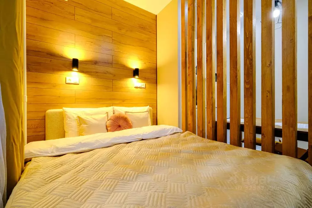 Студия Москва просп. Защитников Москвы, 3к1 (17.0 м) - Фото 1