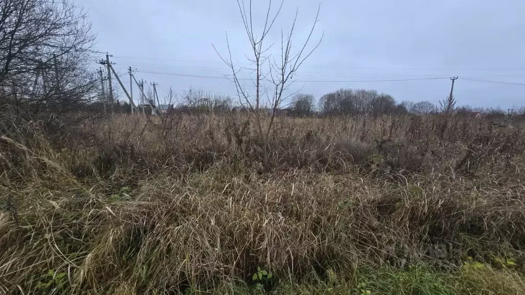 Участок в Московская область, Ступино городской округ, д. ... - Фото 1