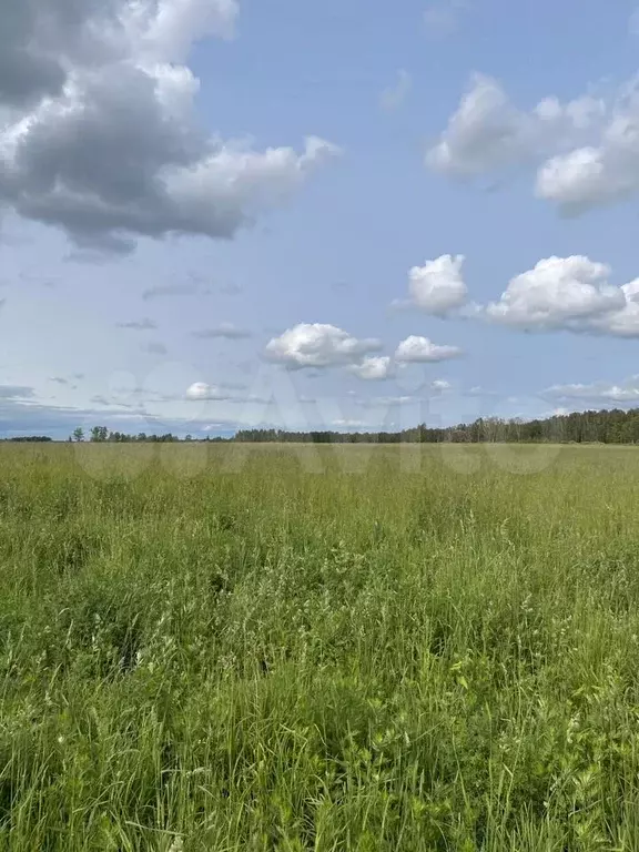Участок 15 га (СНТ, ДНП) - Фото 0