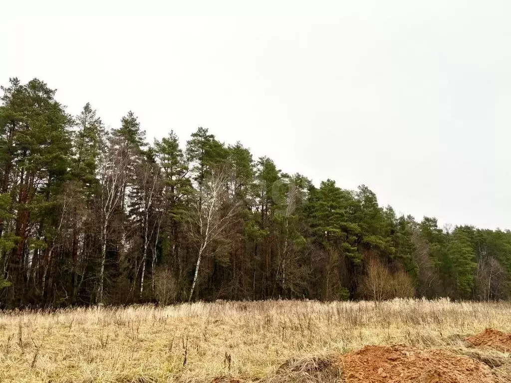 Участок в Московская область, городской округ Серпухов, деревня ... - Фото 2