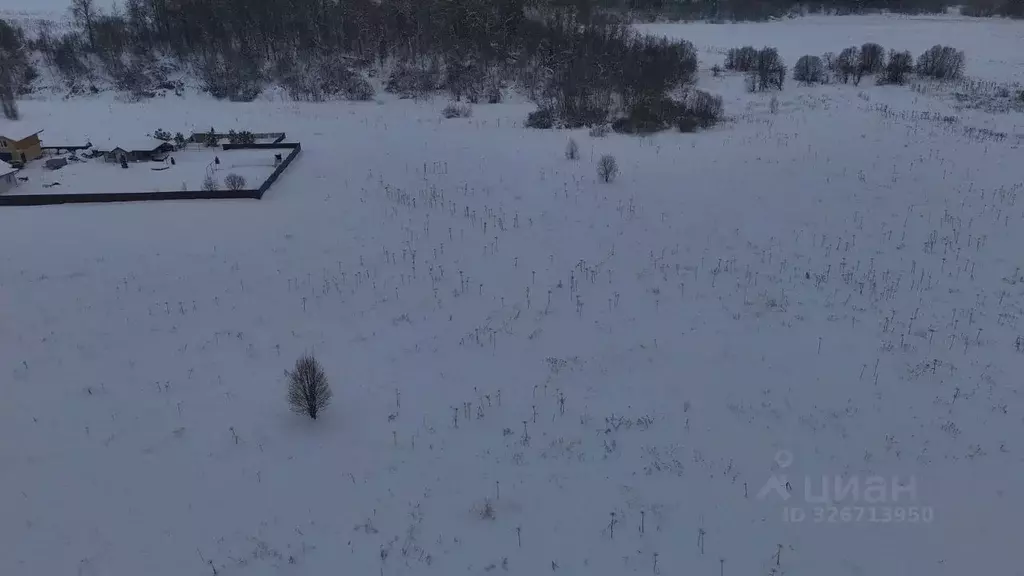 Участок в Московская область, Волоколамский муниципальный округ, д. ... - Фото 1