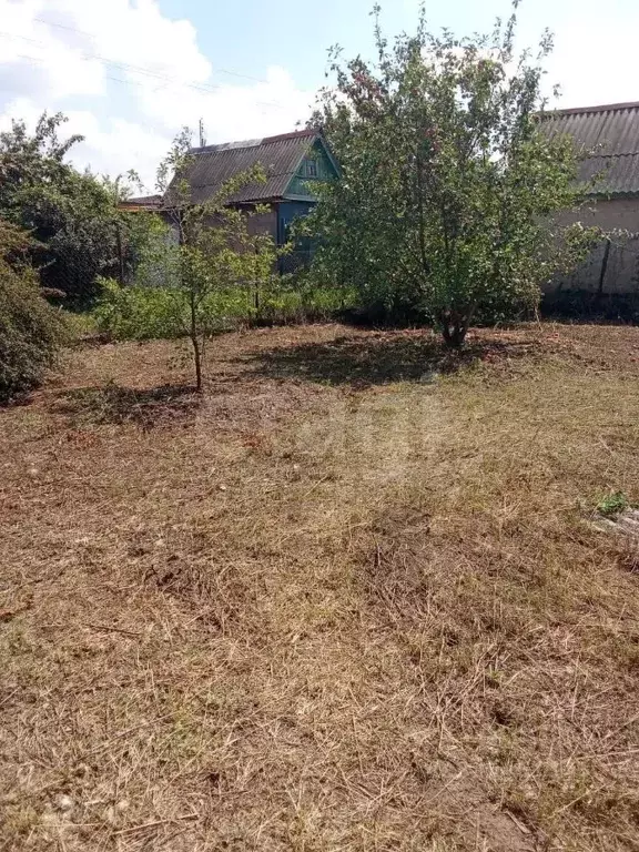 Участок в Оренбургская область, Оренбургский район, Нежинский ... - Фото 2