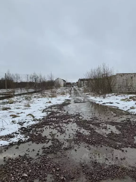 Участок в Ленинградская область, Ломоносовский район, Лаголовское ... - Фото 0