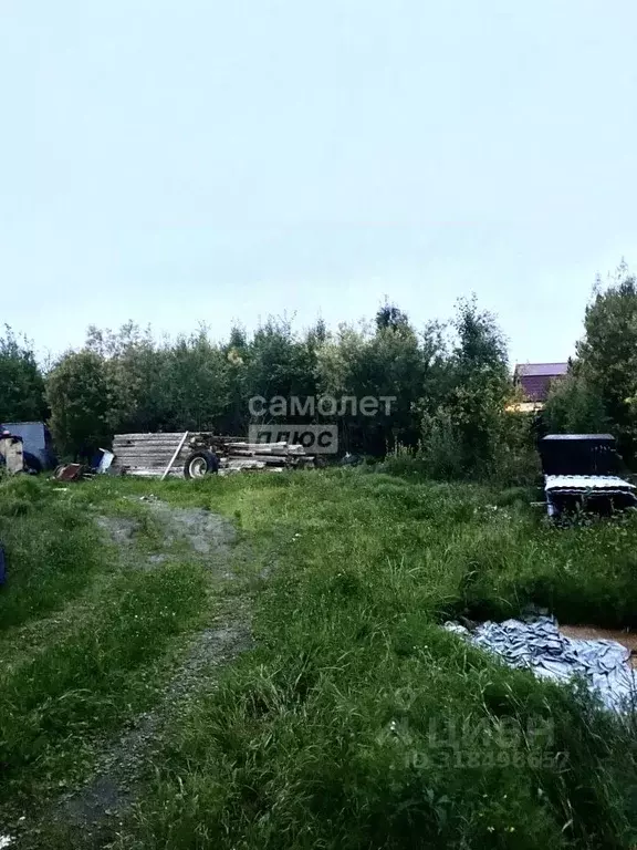 Участок в Ханты-Мансийский АО, Сургут Чернореченский садовое ... - Фото 1