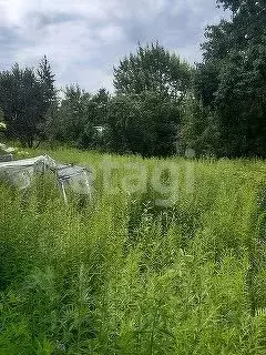 Участок в Брянская область, Брянский район, Новодарковичское с/пос, д. ... - Фото 2