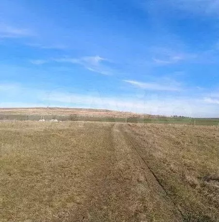 Участок 8 сот. (ИЖС) - Фото 0