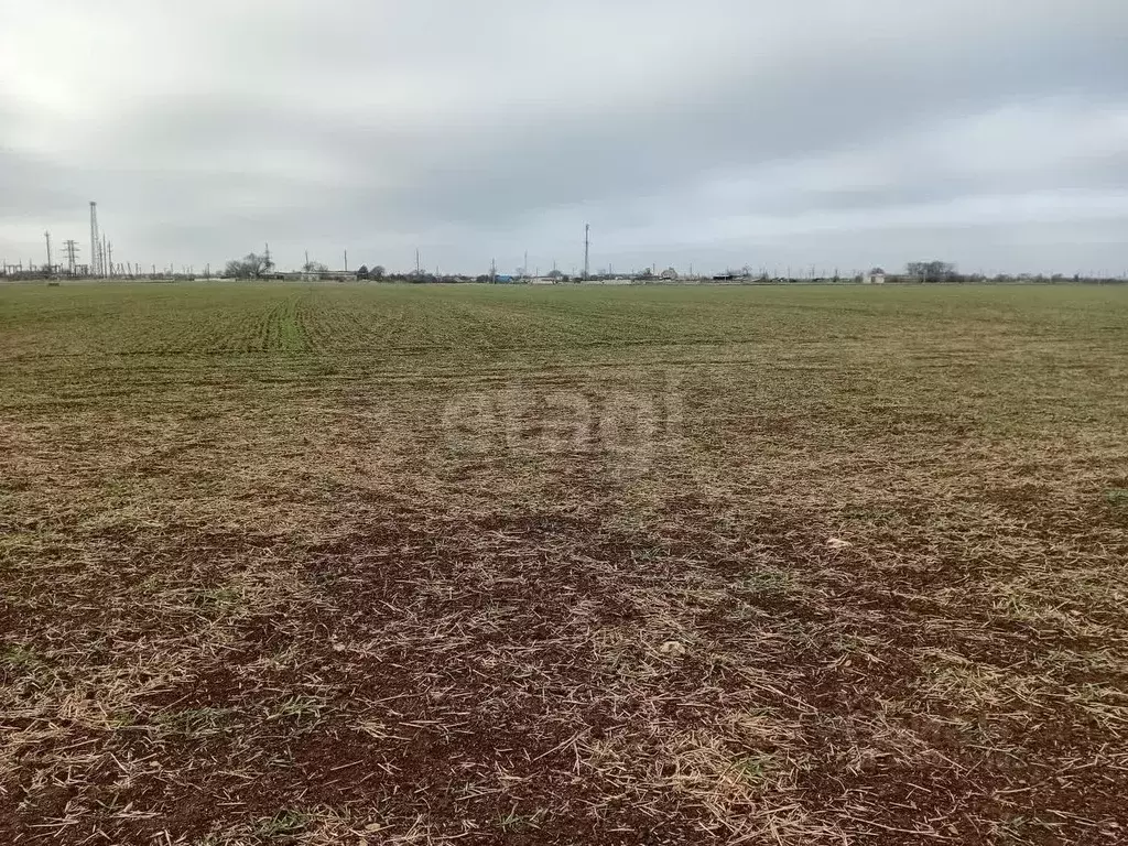 Участок в Крым, Сакский район, с. Воробьево  (200.0 сот.) - Фото 1