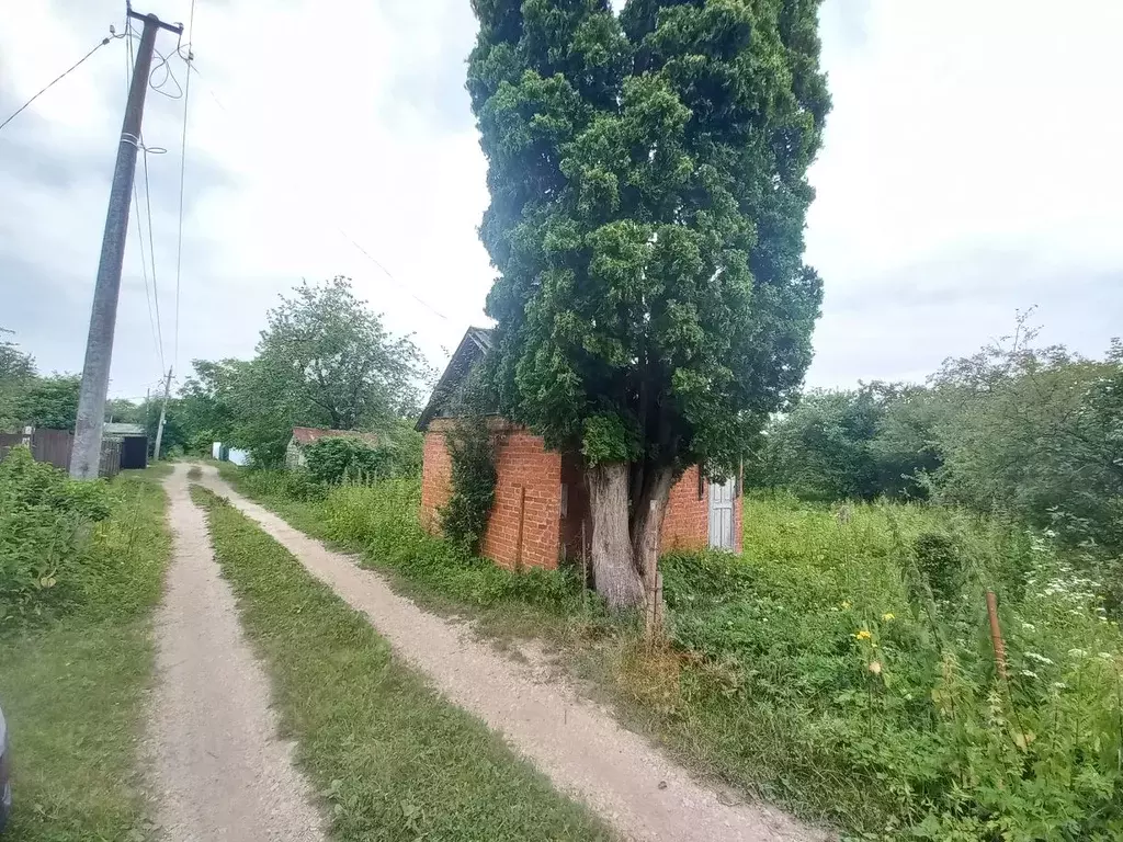 Участок в Северная Осетия, Владикавказ Редант СНО, 209 (4.0 сот.) - Фото 1