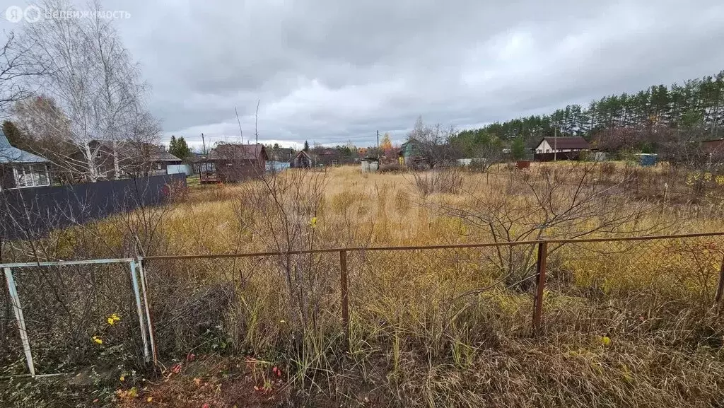 Участок в Рамонский район, Новоживотинновское сельское поселение, СНТ ... - Фото 2