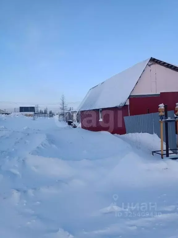 Участок в Ямало-Ненецкий АО, Новый Уренгой Дружба ТСН, проезд 8-й ... - Фото 2