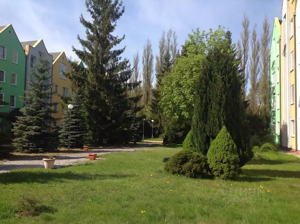 2-к кв. Калининградская область, Светлогорск Калининградский просп., ... - Фото 2