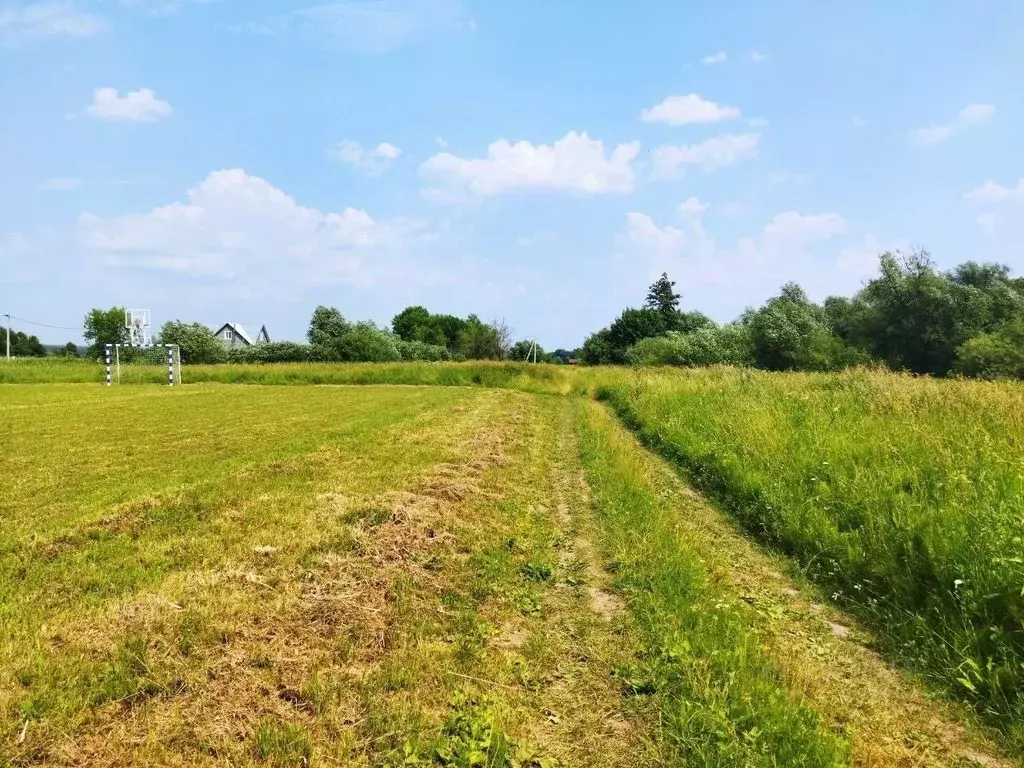 Участок в Тульская область, Ясногорский район, Иваньковское с/пос, д. ... - Фото 2