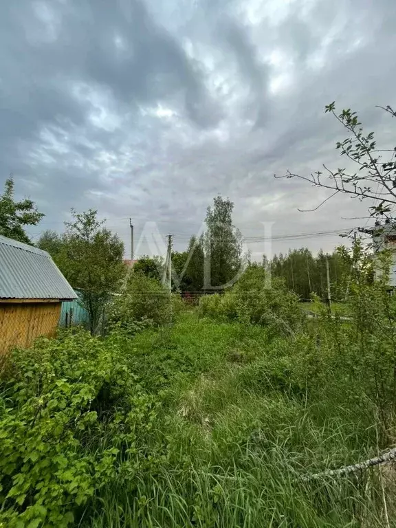 Участок в Московская область, Пушкинский городской округ, пос. Доброе  ... - Фото 2