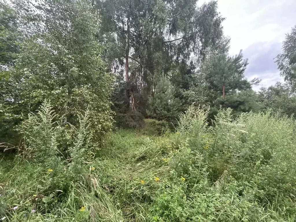 Участок в Московская область, Ступино городской округ, с. Мышенское  ... - Фото 1
