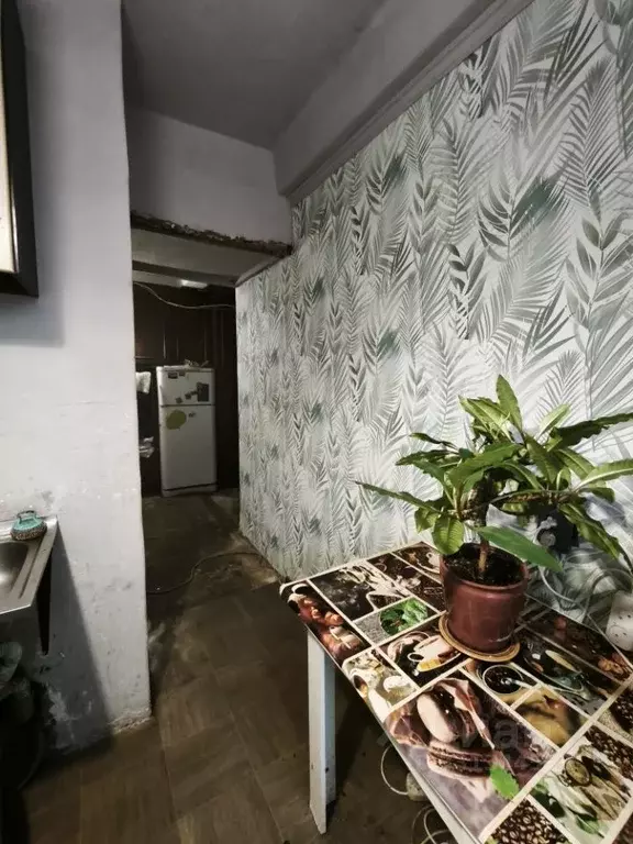 3-к кв. Санкт-Петербург Ириновский просп., 17К3 (57.2 м) - Фото 2