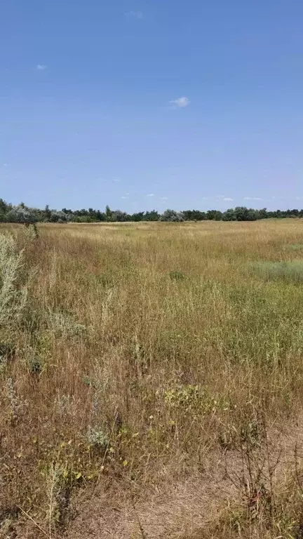 Участок в Волгоградская область, Среднеахтубинский район, Ахтубинское ... - Фото 1