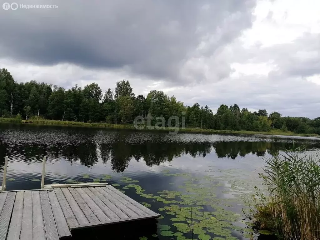 участок в заклинское сельское поселение, деревня сырец (631 м) - Фото 0