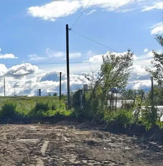 Участок в Оренбургская область, Бузулукский район, Пригородный ... - Фото 0