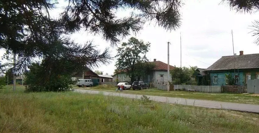 Участок в Воронежская область, Борисоглебский городской округ, д. ... - Фото 2