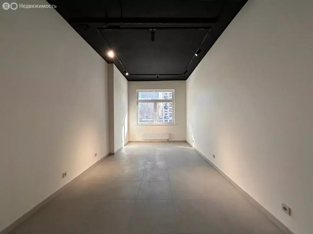 Помещение свободного назначения (28.9 м) - Фото 2