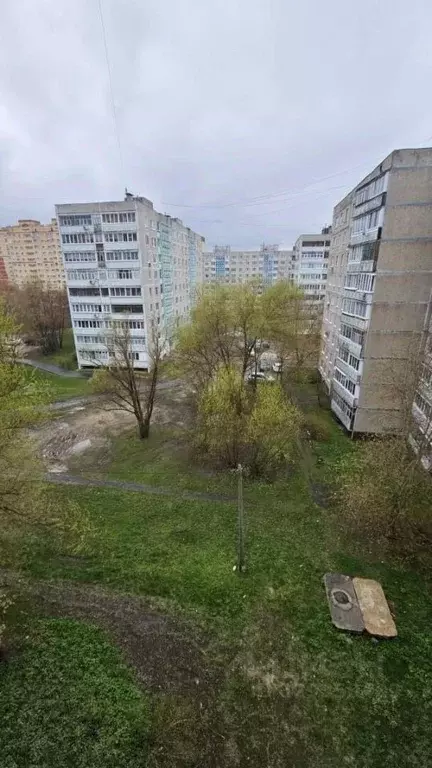 2-к кв. Московская область, Егорьевск 5-й мкр, 2 (49.7 м) - Фото 2