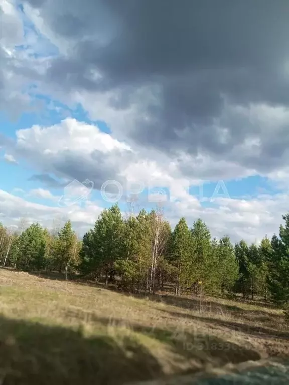 Участок в Тюменская область, Тюменский район, Новокаменский кп  (19.77 ... - Фото 0