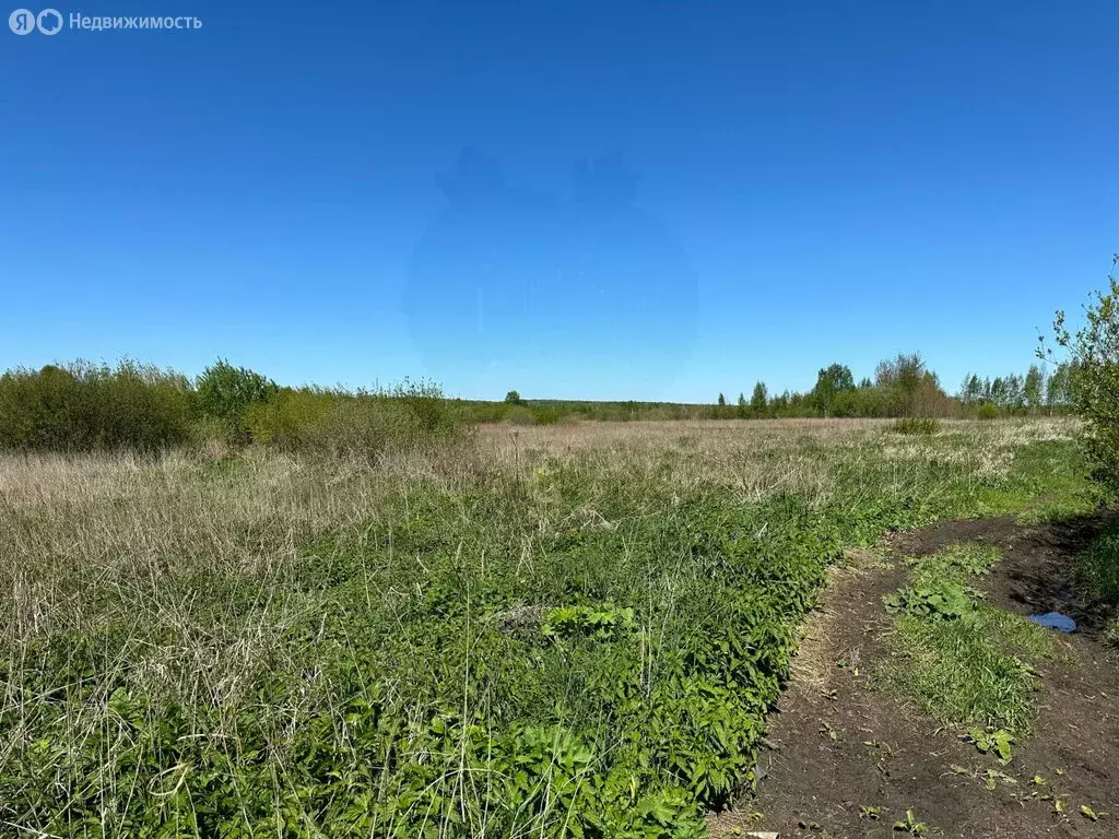 Участок в Верхнее Дуброво, улица Свободы (630 м) - Фото 1