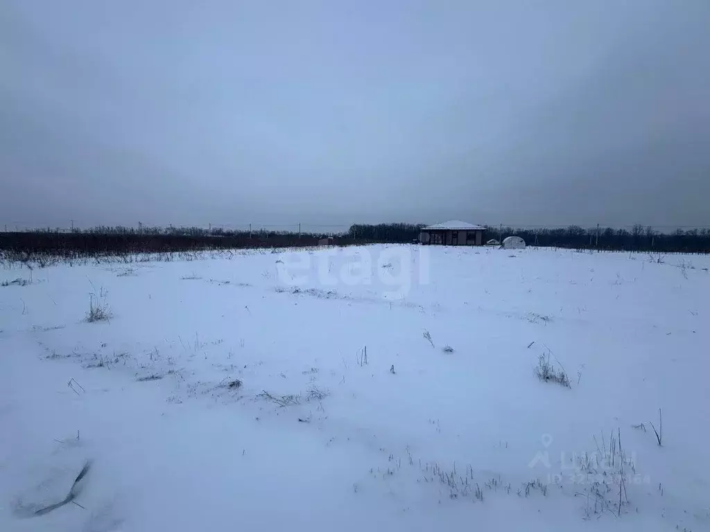 Участок в Курская область, Курск ул. Медовая (10.0 сот.) - Фото 2