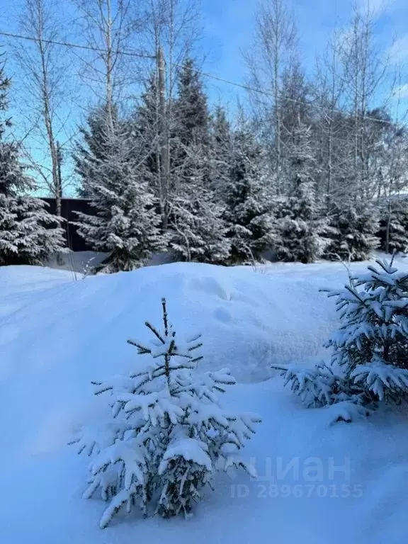 Дом в Московская область, Истра муниципальный округ, д. Кореньки 76 ... - Фото 1