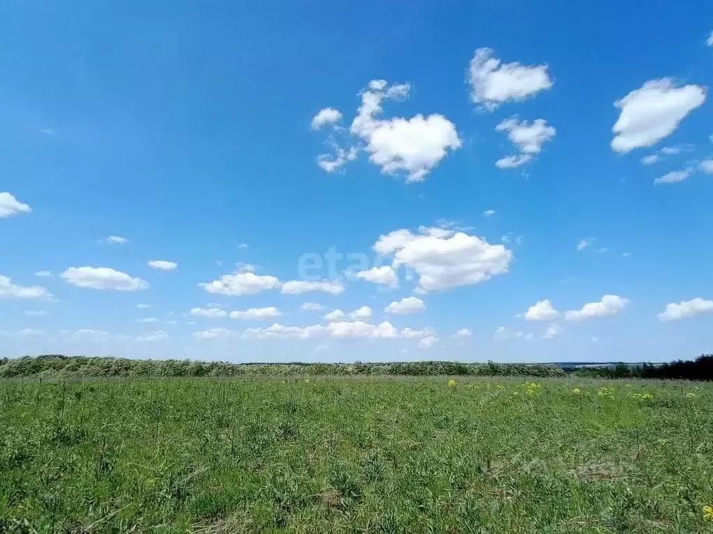 Участок в Курская область, Курский район, Нижнемедведицкий сельсовет, ... - Фото 0