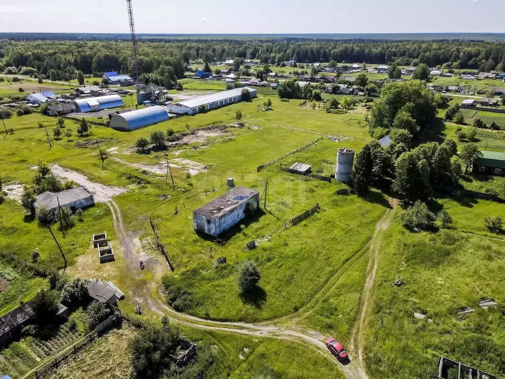 Участок в Тюменская область, Нижнетавдинский муниципальный округ, с. ... - Фото 1