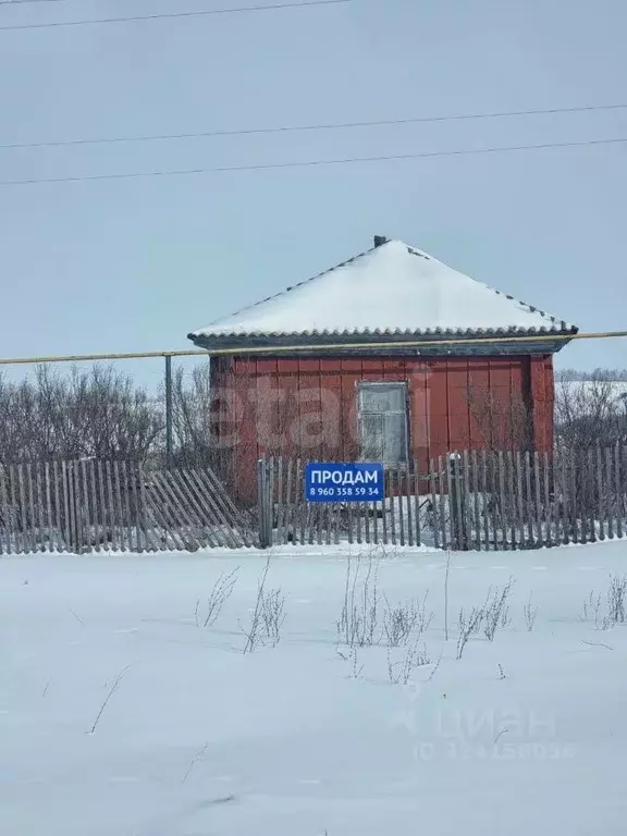 Дом в Саратовская область, Балашовский район, с. Большой Мелик ... - Фото 1