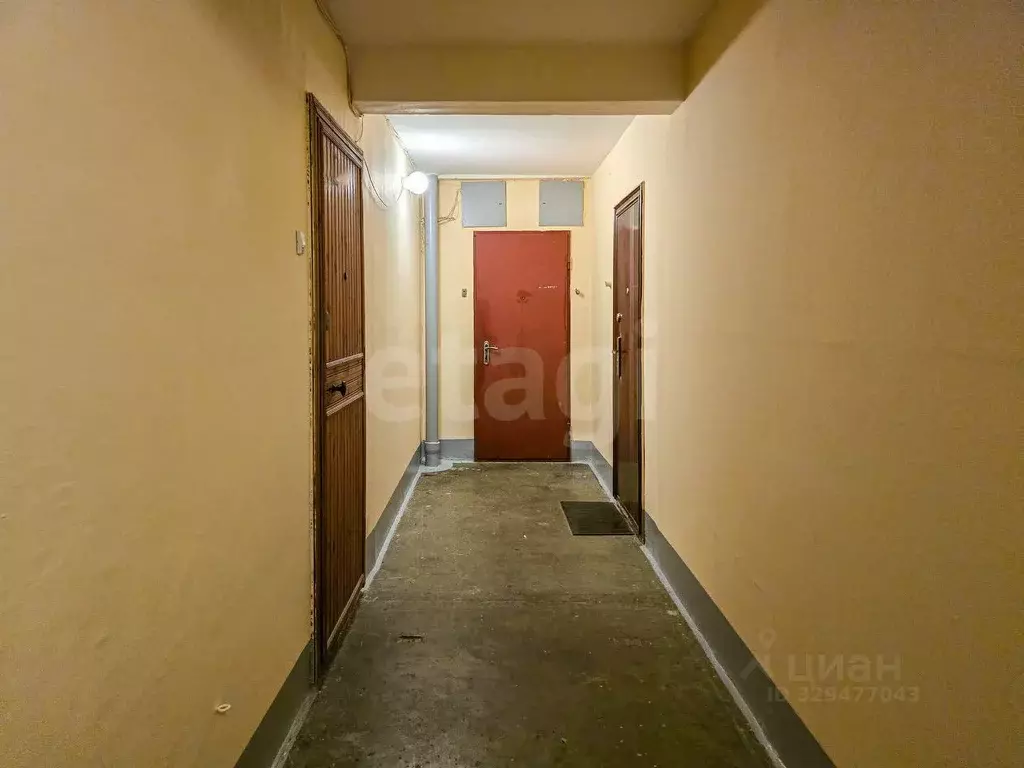 Комната Санкт-Петербург просп. Художников, 33К1 (13.4 м) - Фото 1