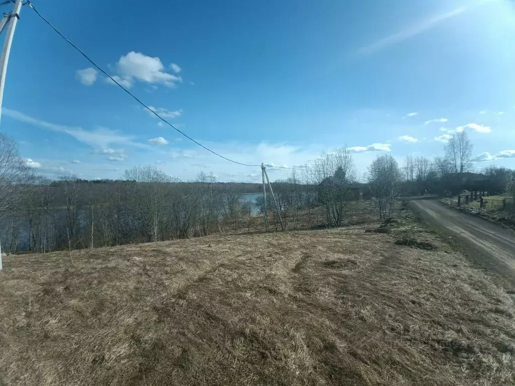 Участок в Новгородская область, Валдайский муниципальный район, ... - Фото 1