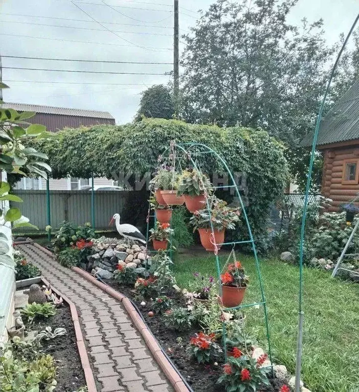 Дом в Новосибирская область, Новосибирский район, Краснообск ... - Фото 1