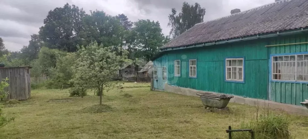 Дом в Калужская область, Думиничский муниципальный округ, Думиничи ... - Фото 1