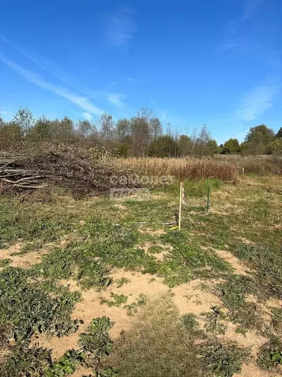 Участок в Московская область, Дмитровский муниципальный округ, ... - Фото 1