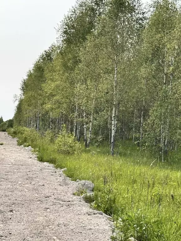 Участок в Тульская область, Ясногорский район, Иваньковское с/пос  ... - Фото 2