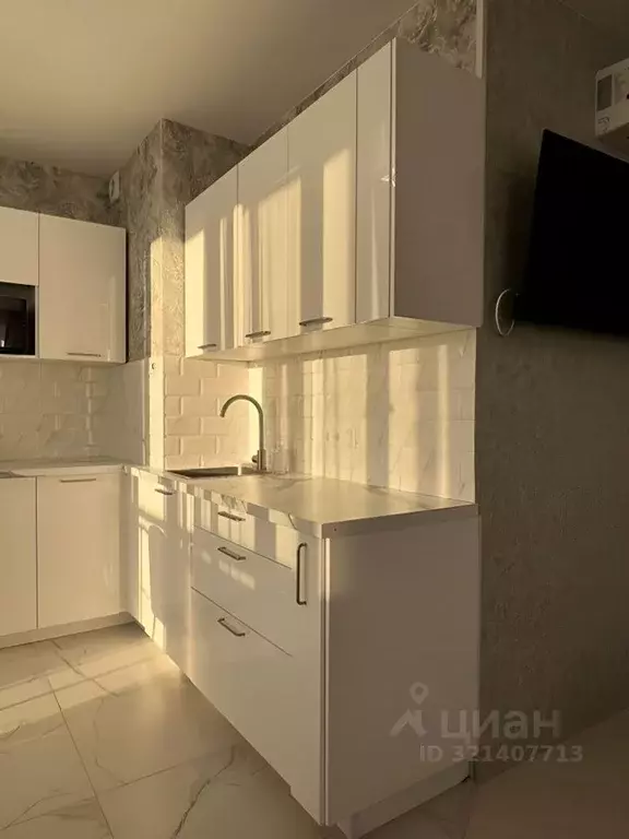 Студия Новосибирская область, Новосибирск ул. Дуси Ковальчук, 238 ... - Фото 1