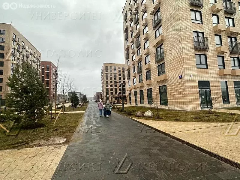 Помещение свободного назначения (310 м) - Фото 2