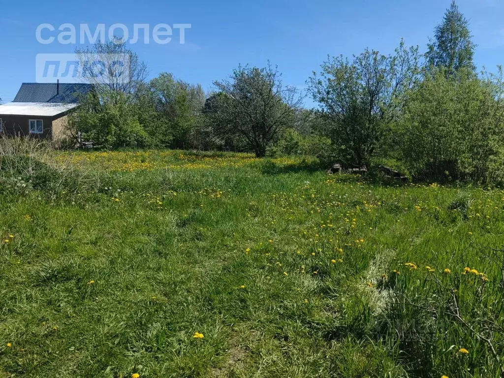 Участок в Вологодская область, Вологда Чайка садоводческое ... - Фото 0