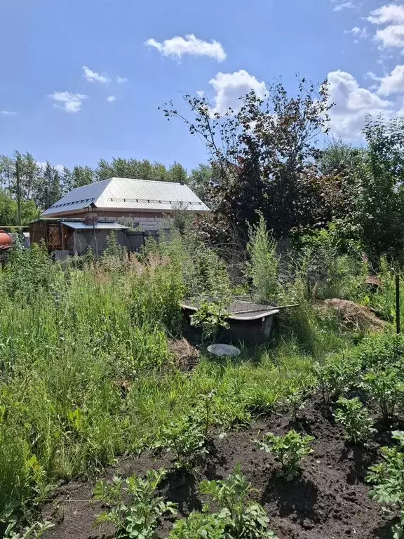 Участок 6 сот. (ИЖС) - Фото 1