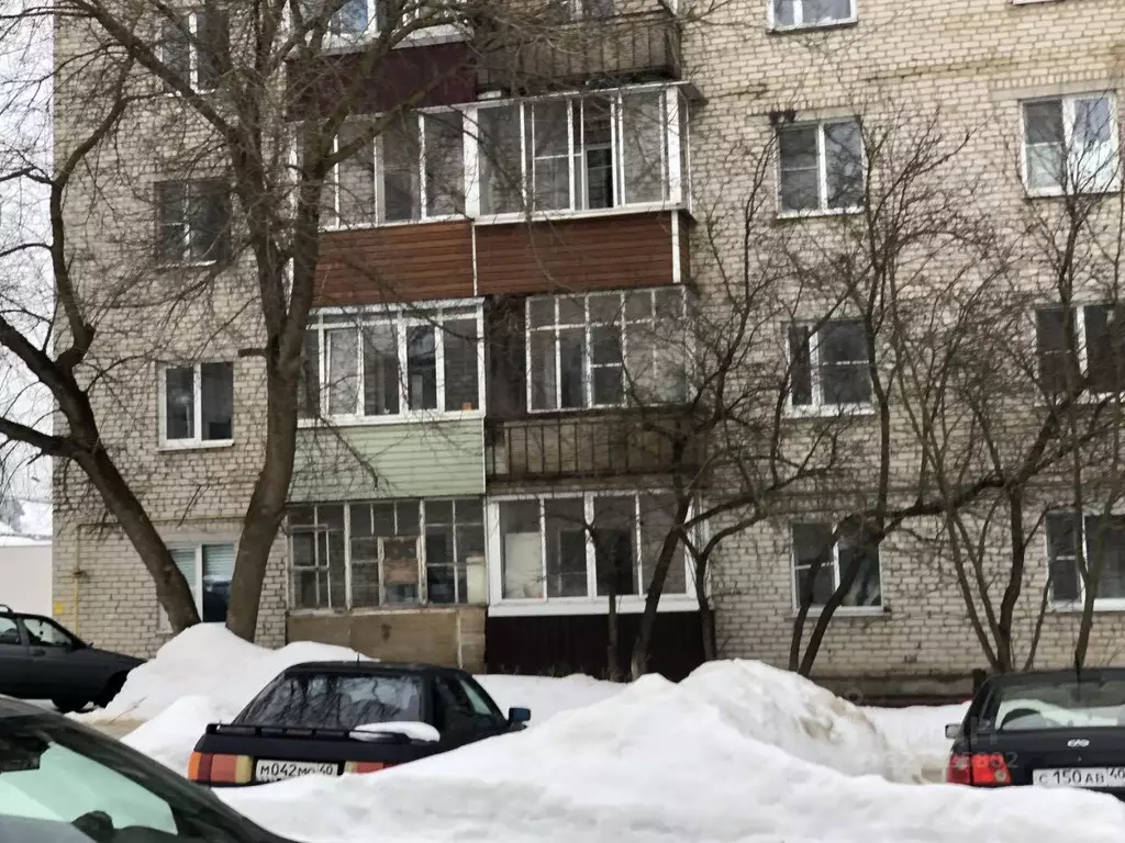 1-к кв. Калужская область, Малоярославец Почтовая ул., 4 (28.0 м) - Фото 2