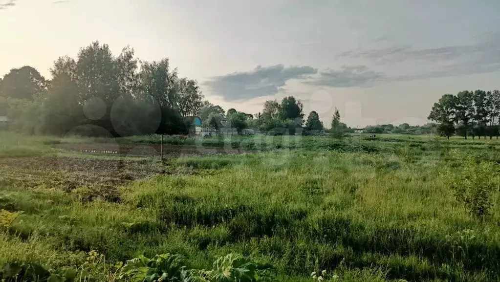Участок 11,8 сот. (личное подсобное хозяйство (лпх)) - Фото 0