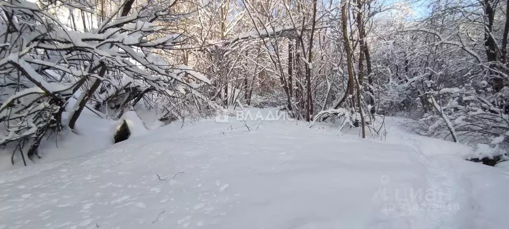 Участок в Нижегородская область, Нижний Новгород Ракета ТСН,  (6.0 ... - Фото 0